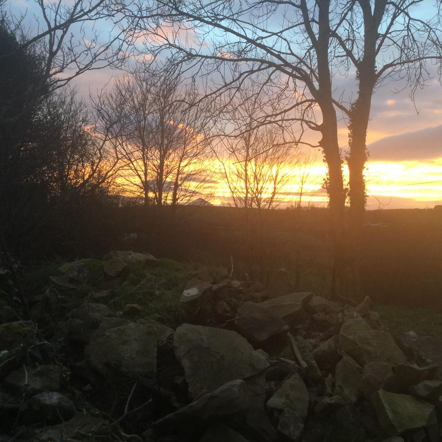 Westport Glamping At Doon Angus Farm Villa Luaran gambar
