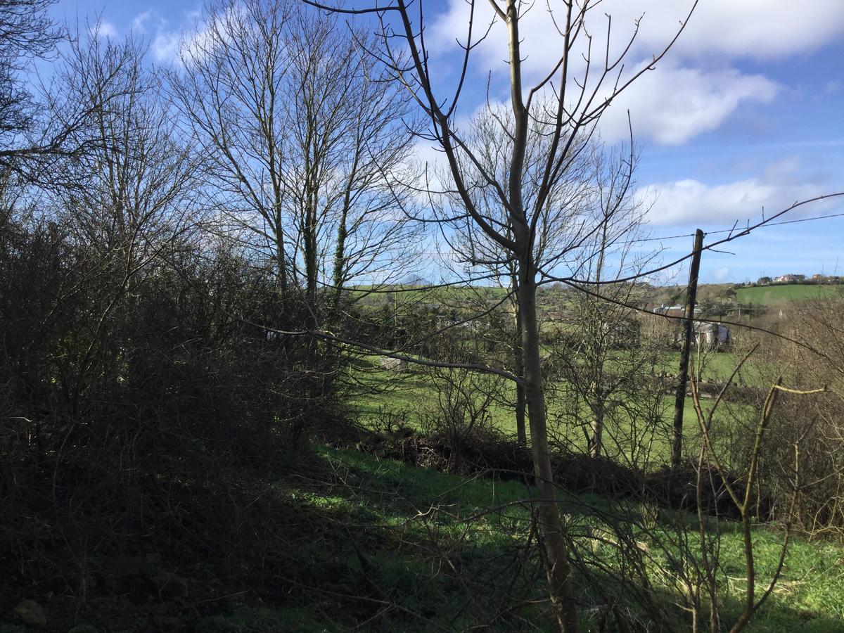 Westport Glamping At Doon Angus Farm Villa Luaran gambar